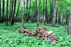 An altar for ritual sacrifices at another sacred grove near Marisola village. 